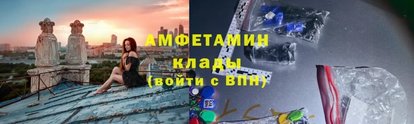 трава Белокуриха