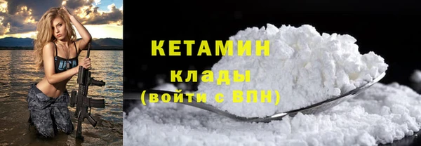 трава Белокуриха