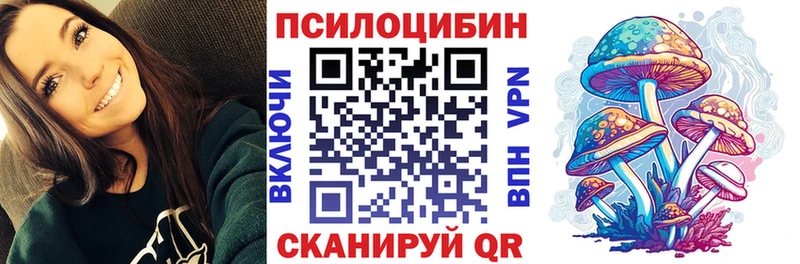 Псилоцибиновые грибы Psilocybine cubensis  где купить   Цоци-Юрт 
